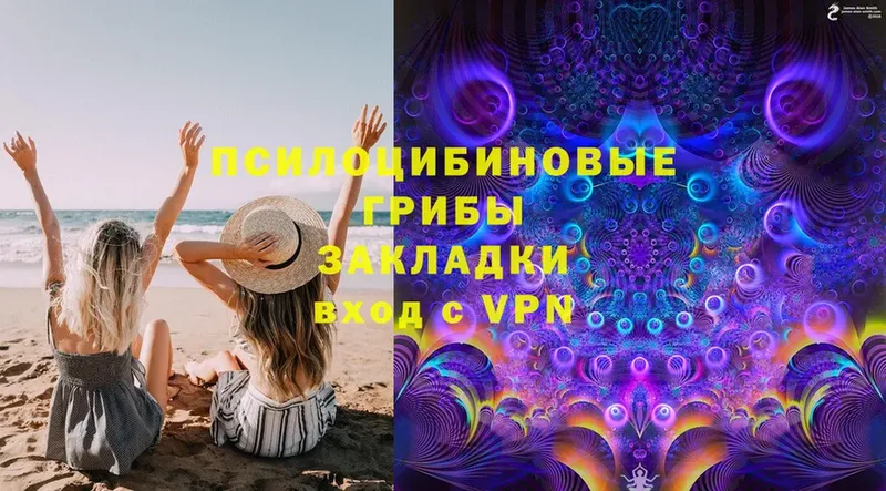 Галлюциногенные грибы Cubensis  Ефремов 